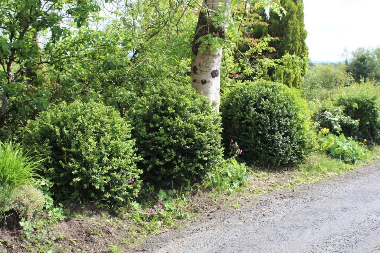 Ketty'S Cottage Rosslea 외부 사진